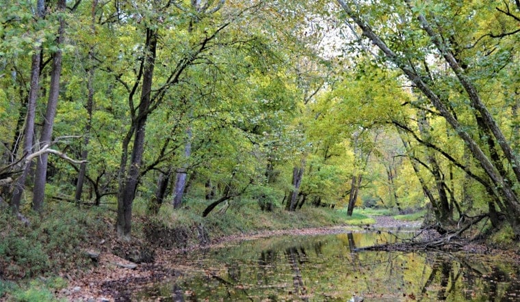 Big Oaks Refuge Caught In Crossfire As Feds Rework Deal Over Southeast Indiana Wildlands