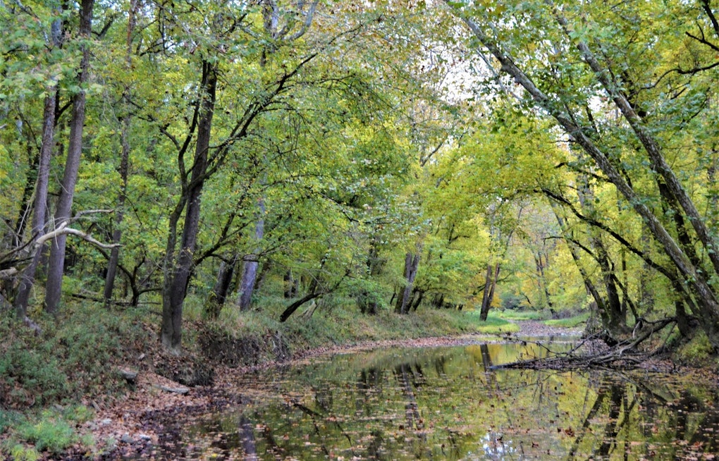 Big Oaks Refuge Caught In Crossfire As Feds Rework Deal Over Southeast Indiana Wildlands
