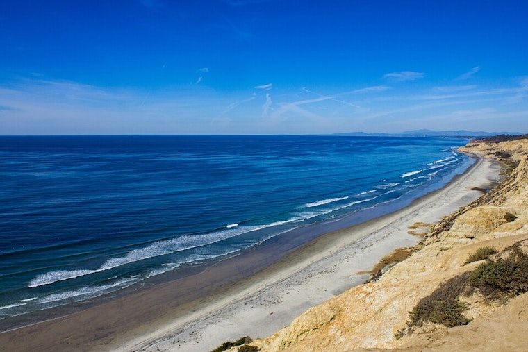Black's Beach Horror: Man Found Motionless Near Shore Dies Despite Rescue Efforts