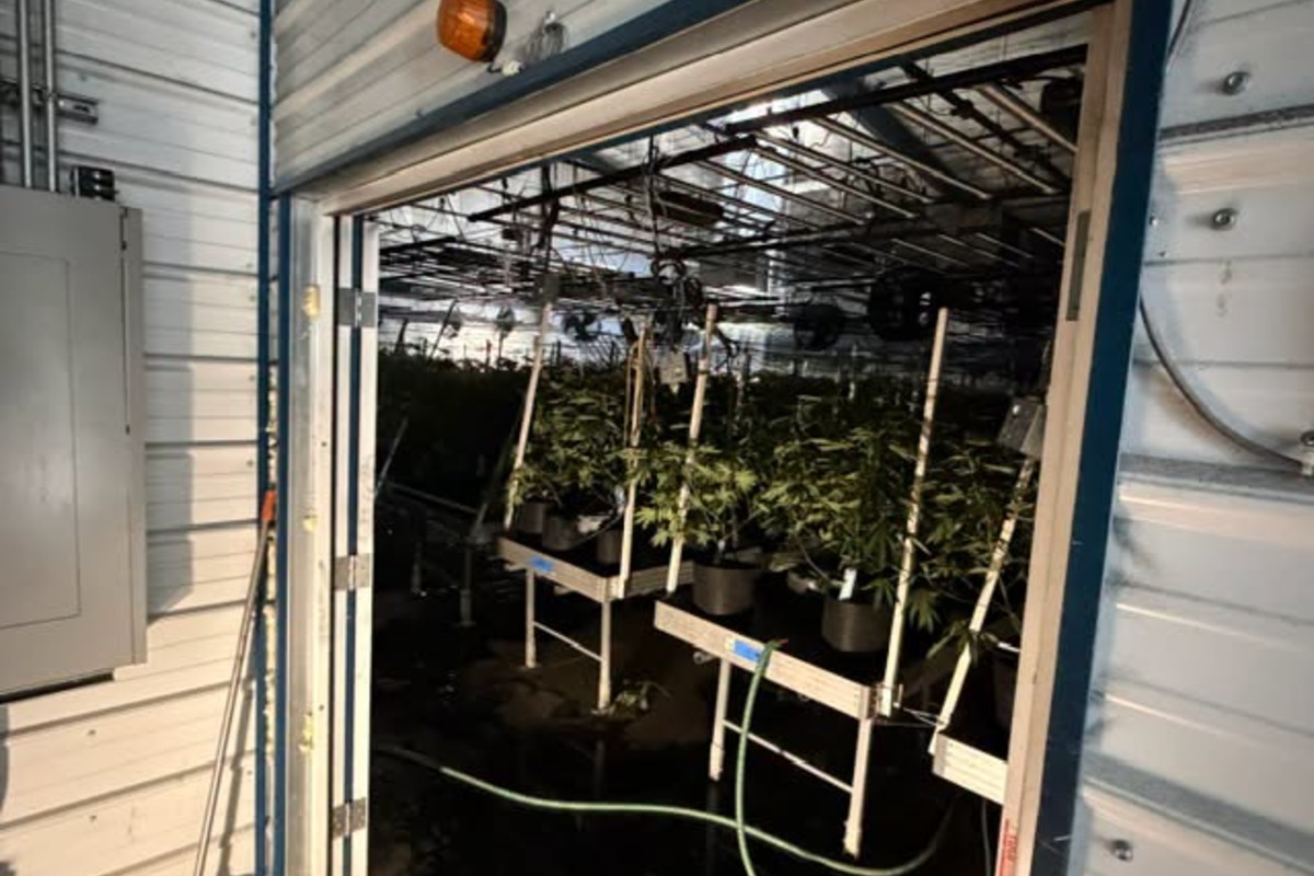 Blaze In Estacada Pot Grow Sends Fire Crews Scrambling