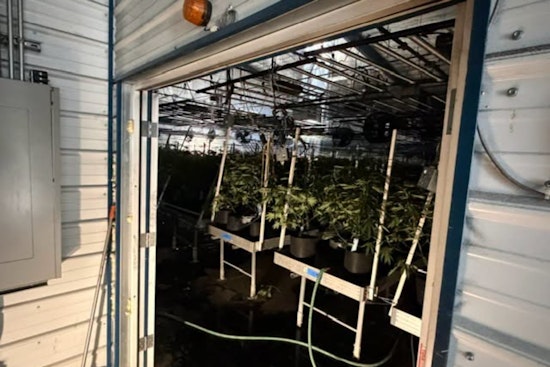 Blaze In Estacada Pot Grow Sends Fire Crews Scrambling