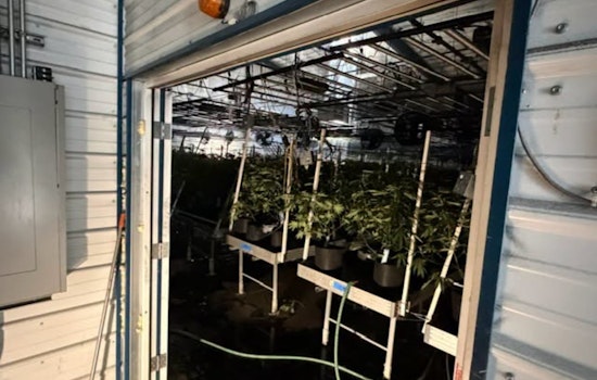 Blaze In Estacada Pot Grow Sends Fire Crews Scrambling