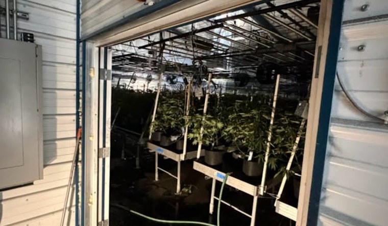 Blaze In Estacada Pot Grow Sends Fire Crews Scrambling