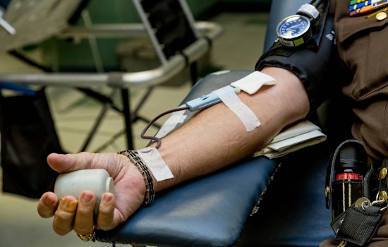 Blood Crisis Slams New York and New Jersey as Summer Rush Looms