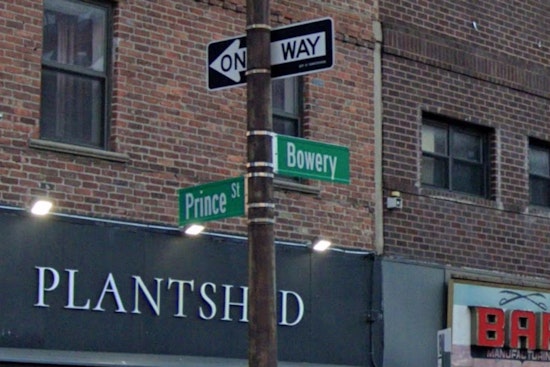 Blushing Bowery Bombshell, Giant Venus Crashes New Museum Plaza