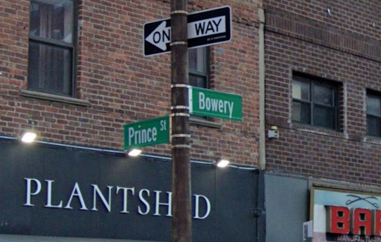 Blushing Bowery Bombshell, Giant Venus Crashes New Museum Plaza