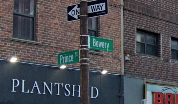 Blushing Bowery Bombshell, Giant Venus Crashes New Museum Plaza