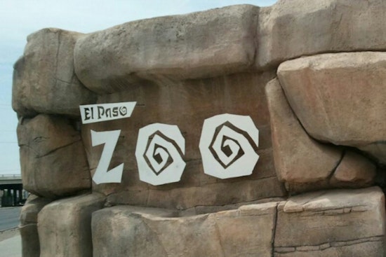 Bomb Scare Empties El Paso Zoo, Crowds Herded Out Then Let Back In