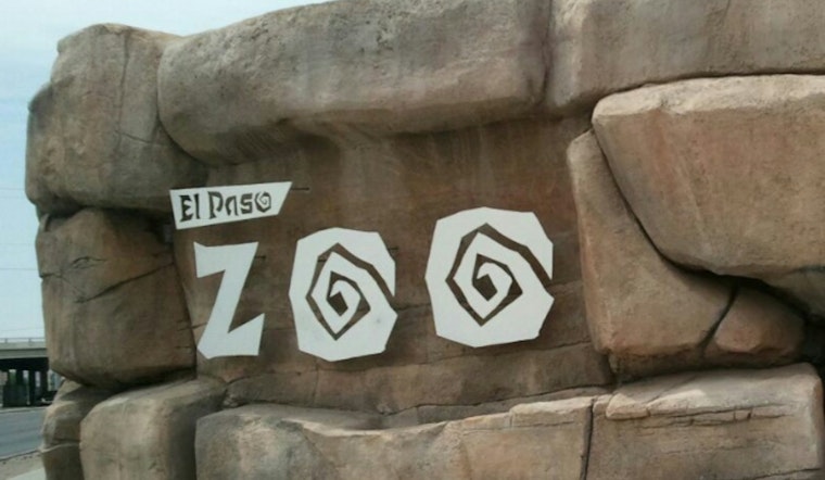 Bomb Scare Empties El Paso Zoo, Crowds Herded Out Then Let Back In