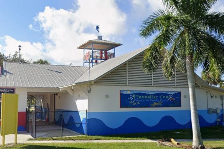 Bomb Threat Call Clears Paradise Cove Water Park In Pembroke Pines