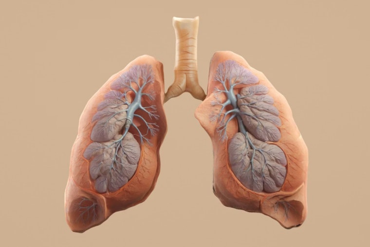 Boston’s Sybil AI Claims It Can Spot Lung Cancer Years Before It Shows