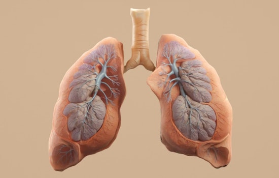 Boston’s Sybil AI Claims It Can Spot Lung Cancer Years Before It Shows