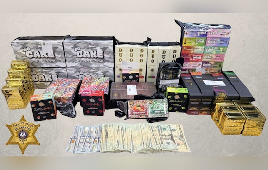 Boutte Traffic Bust Uncovers 770 THC Vapes And A Pile Of Cash