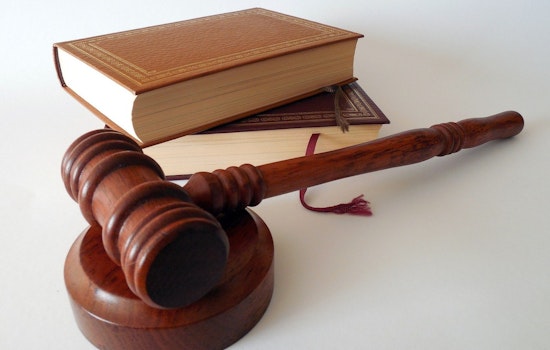 Bradenton Brute Gets Seven Years For Hurling Kitten Off Balcony In Girlfriend Attack