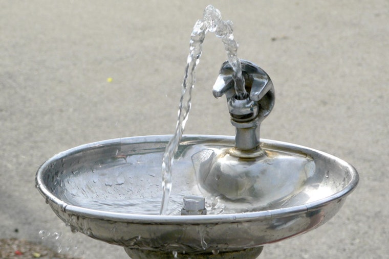 Brazen Brass Ripoff Leaves Prospect Park High and Dry