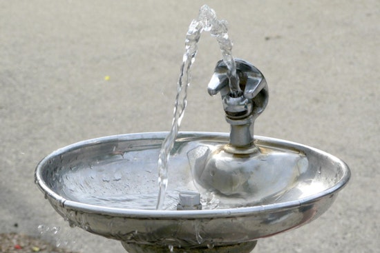 Brazen Brass Ripoff Leaves Prospect Park High and Dry