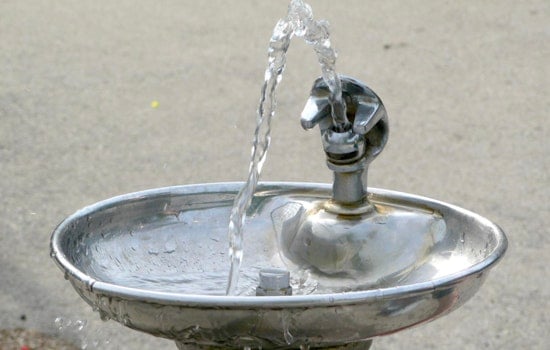 Brazen Brass Ripoff Leaves Prospect Park High and Dry