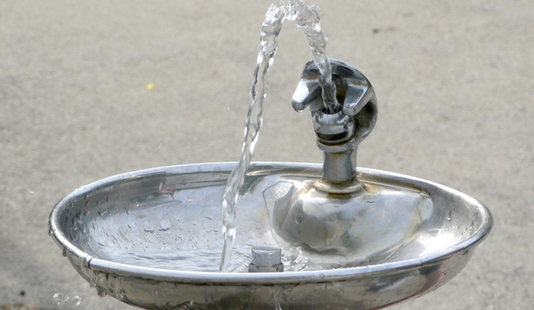Brazen Brass Ripoff Leaves Prospect Park High and Dry
