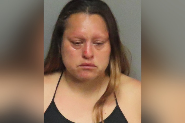 Breckenridge Hills Rock-Throwing Bust Ends With Ex-Chief Bitten, Cops Say