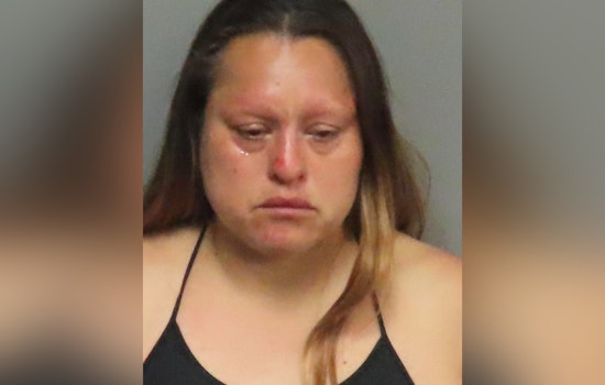 Breckenridge Hills Rock-Throwing Bust Ends With Ex-Chief Bitten, Cops Say