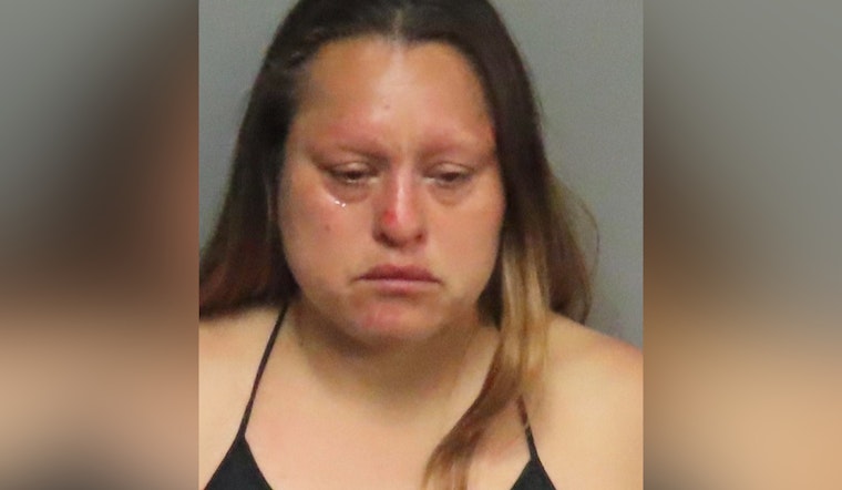 Breckenridge Hills Rock-Throwing Bust Ends With Ex-Chief Bitten, Cops Say