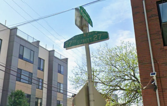 Brewerytown Tree Topples On North 27th Street