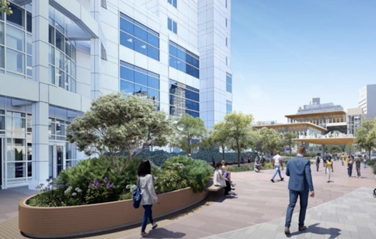 Bronx Bonanza: Morris Park Snags $20 Million For Parks, Classrooms And Crosswalks