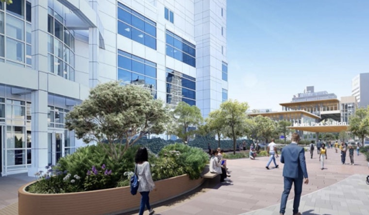 Bronx Bonanza: Morris Park Snags $20 Million For Parks, Classrooms And Crosswalks