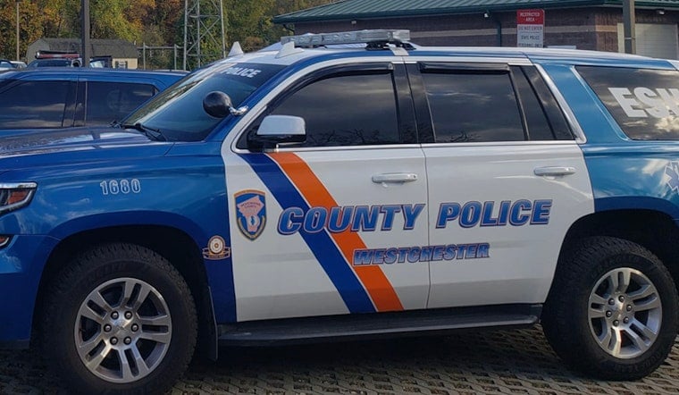 Bronx Driver Busted After Saw Mill Parkway Chase Leaves 3 Cops Hurt