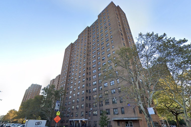 Bronx High-Rise Horror as Family Cat Plunges From 15th-Floor Window