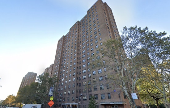 Bronx High-Rise Horror as Family Cat Plunges From 15th-Floor Window