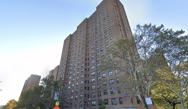 Bronx High-Rise Horror as Family Cat Plunges From 15th-Floor Window