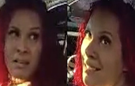 Bronx Hit-and-Run Driver Slams Cop, Vanishes in Montana-Plated Ford