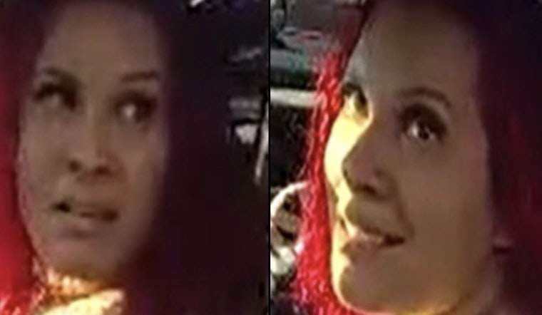 Bronx Hit-and-Run Driver Slams Cop, Vanishes in Montana-Plated Ford