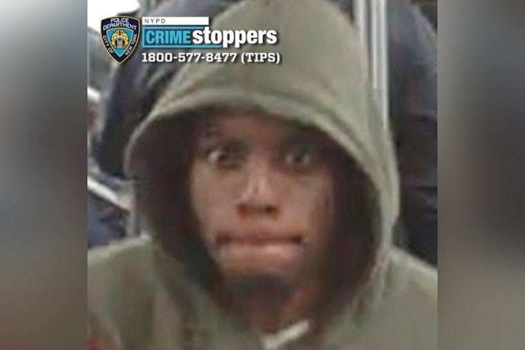 Bronx Subway Shocker as Senior Socked Boarding 2 Train