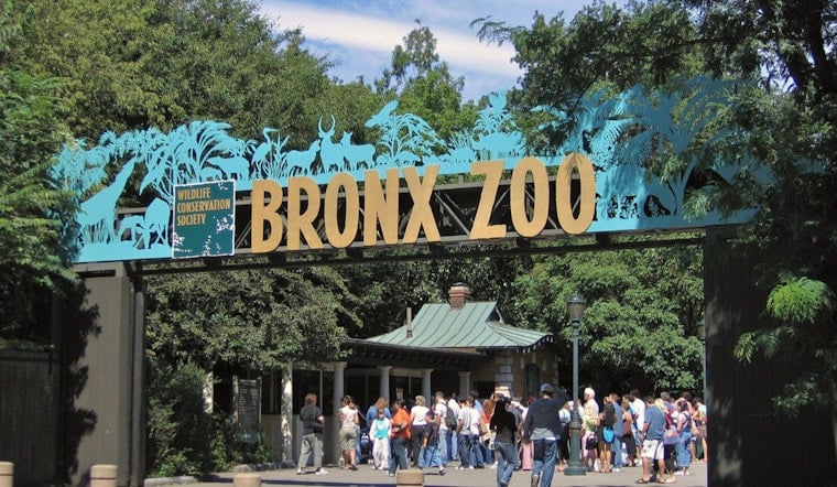 Bronx Zoo Croc Bites Keeper’s Arm During Routine Feeding