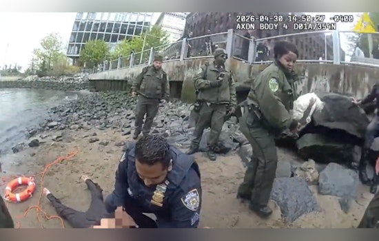 Brooklyn Bridge Park Shocker as NYPD Hauls Woman and Cat From East River
