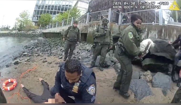 Brooklyn Bridge Park Shocker as NYPD Hauls Woman and Cat From East River