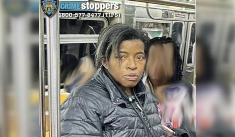 Brooklyn Q Train Horror as Senior Rider Punched and Bitten