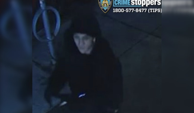 Brooklyn Thief Pulls Gun For Two Bucks And A Phone On Ditmas Avenue