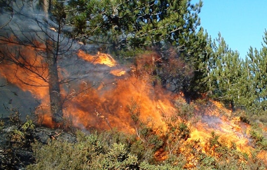 Burro Fire Reported in Los Angeles County May 18
