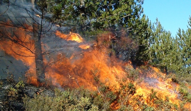 Burro Fire Reported in Los Angeles County May 18