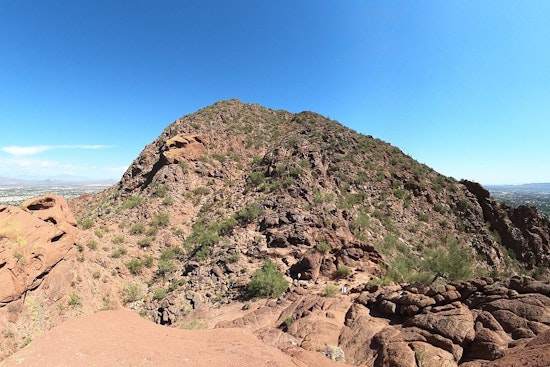 Camelback Chaos As Bee Swarm Ambushes Valley Hikers