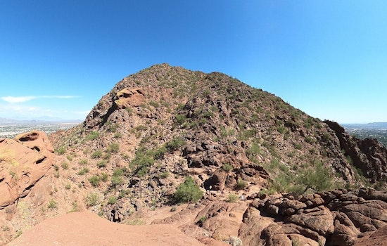 Camelback Chaos As Bee Swarm Ambushes Valley Hikers