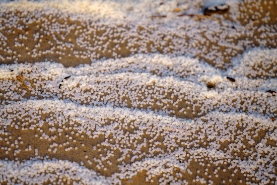 Carlsbad’s ‘Nurdle Nightmare’ Puts Plastic Rail Polluters On Notice