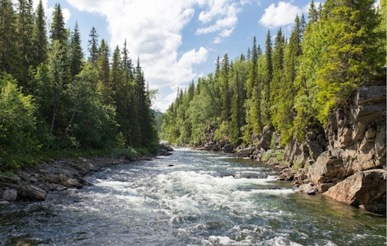 Cash-Strapped Colorado Ranchers Paid To Let Their Water Run For Struggling Fish