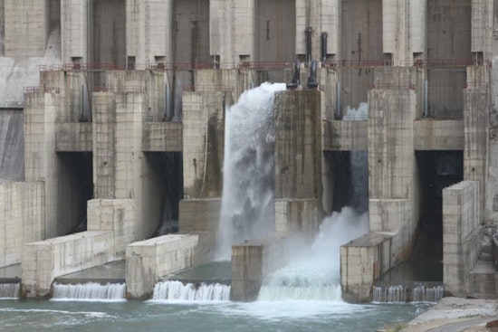 Catfish Corpses Pile Up Below Pensacola Dam, Rattling Lake Hudson