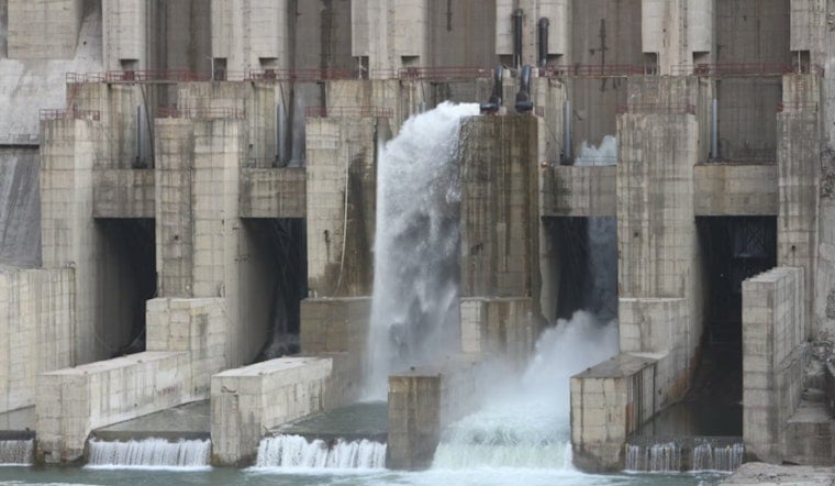 Catfish Corpses Pile Up Below Pensacola Dam, Rattling Lake Hudson