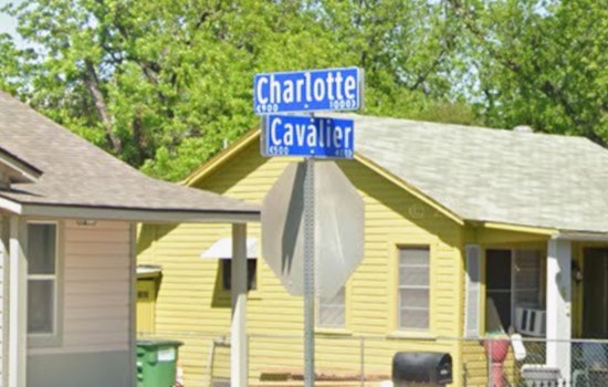 Cavalier Avenue House Of Horrors, Elderly San Antonio Man Busted After Dead Dogs Found
