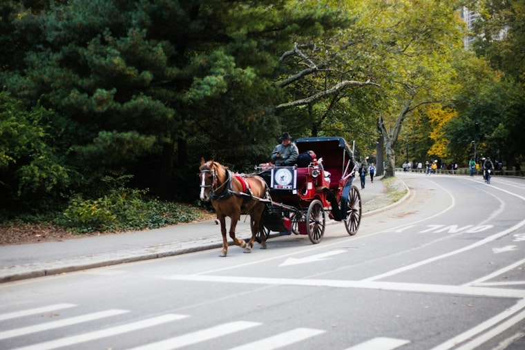 Central Park Carriage Flips on 7th Ave Line as Spooked Horse Breaks Free